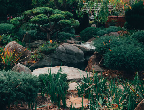 Drype Garden